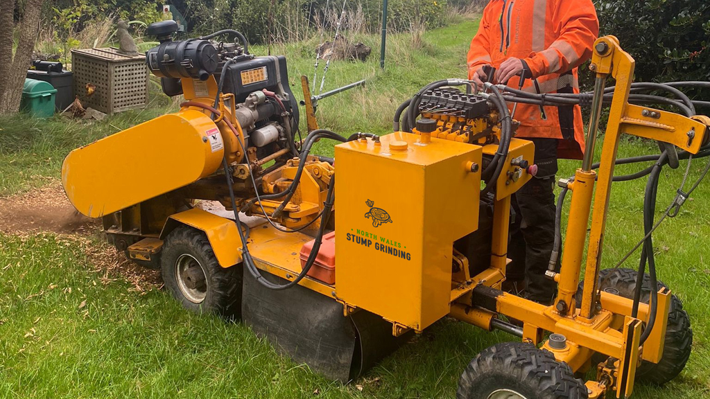 North Wales Stump Grinding • Tree Stump Removal • Domestic & Commercial