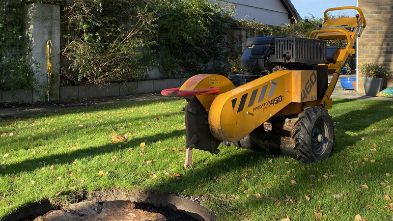 Stump Removal North Wales